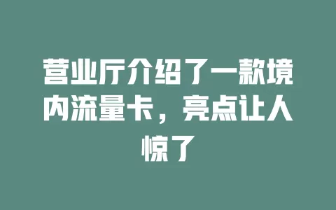 营业厅介绍了一款境内流量卡，亮点让人惊了