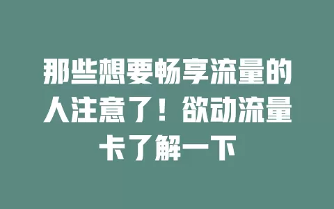 那些想要畅享流量的人注意了！欲动流量卡了解一下
