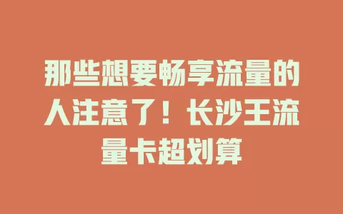 那些想要畅享流量的人注意了！长沙王流量卡超划算