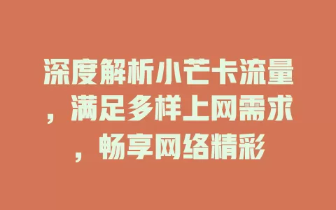 深度解析小芒卡流量，满足多样上网需求，畅享网络精彩