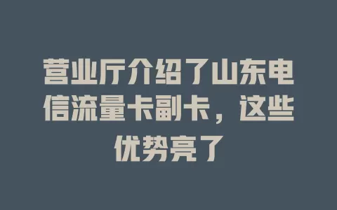 营业厅介绍了山东电信流量卡副卡，这些优势亮了