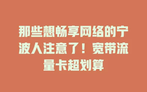 那些想畅享网络的宁波人注意了！宽带流量卡超划算