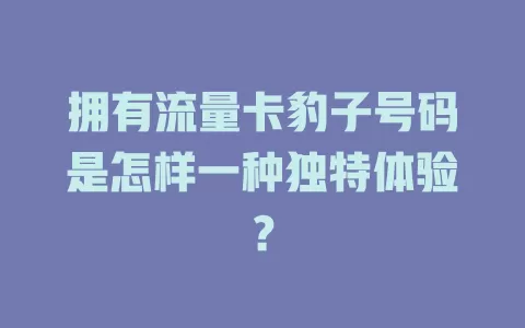 拥有流量卡豹子号码是怎样一种独特体验？