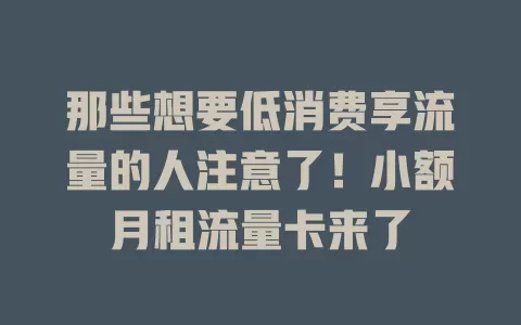 那些想要低消费享流量的人注意了！小额月租流量卡来了
