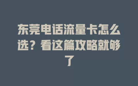 东莞电话流量卡怎么选？看这篇攻略就够了