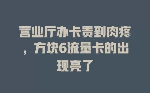 营业厅办卡贵到肉疼，方块6流量卡的出现亮了