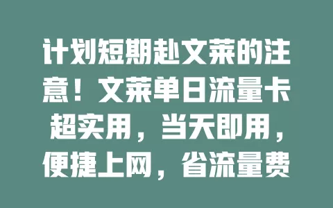 计划短期赴文莱的注意！文莱单日流量卡超实用，当天即用，便捷上网，省流量费，手续简便，让旅程更精彩