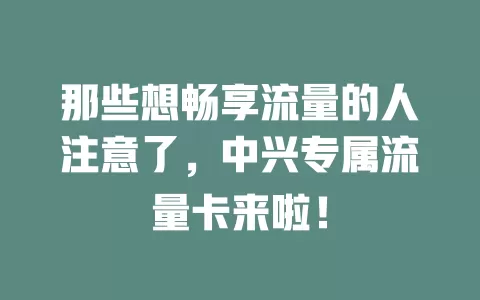 那些想畅享流量的人注意了，中兴专属流量卡来啦！