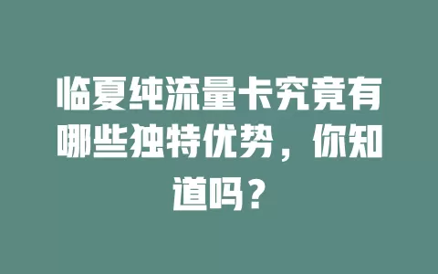 临夏纯流量卡究竟有哪些独特优势，你知道吗？