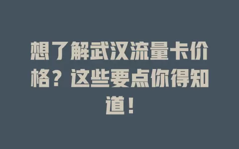 想了解武汉流量卡价格？这些要点你得知道！