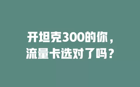 开坦克300的你，流量卡选对了吗？