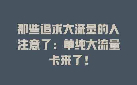 那些追求大流量的人注意了：单纯大流量卡来了！