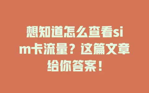 想知道怎么查看sim卡流量？这篇文章给你答案！