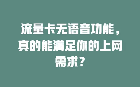 流量卡无语音功能，真的能满足你的上网需求？