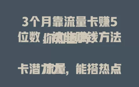 3个月靠流量卡赚5位数，这些赚钱方法你知道吗？

流量卡潜力大，能搭热点网，为展会等提供服务计费；参与众包任务，凭稳定网络获酬；开展线上推广业务，按效果收费。但用它赚钱不易，要选好卡，把握需求，提升服务。
