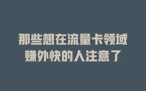 那些想在流量卡领域赚外快的人注意了
