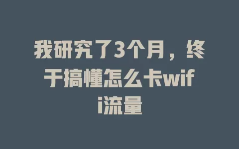 我研究了3个月，终于搞懂怎么卡wifi流量