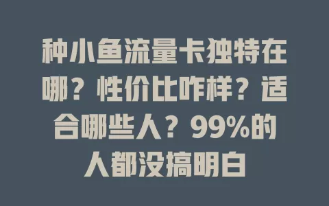种小鱼流量卡独特在哪？性价比咋样？适合哪些人？99%的人都没搞明白