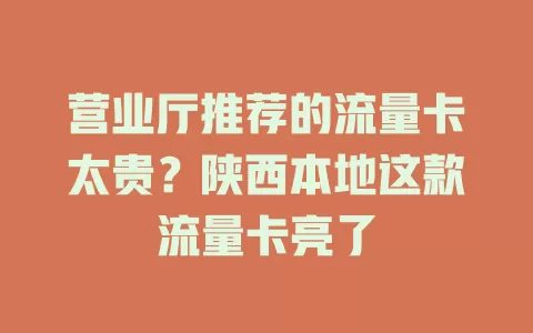 营业厅推荐的流量卡太贵？陕西本地这款流量卡亮了