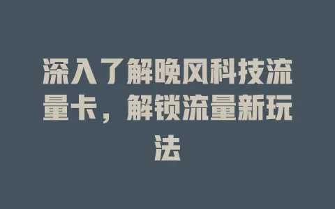 深入了解晚风科技流量卡，解锁流量新玩法