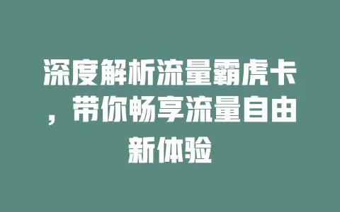 深度解析流量霸虎卡，带你畅享流量自由新体验