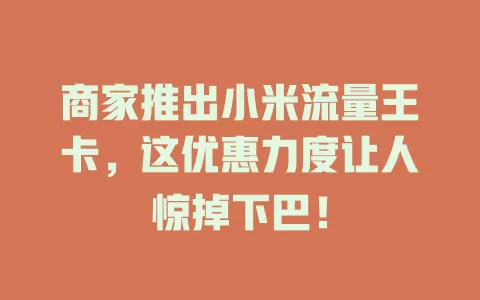 商家推出小米流量王卡，这优惠力度让人惊掉下巴！