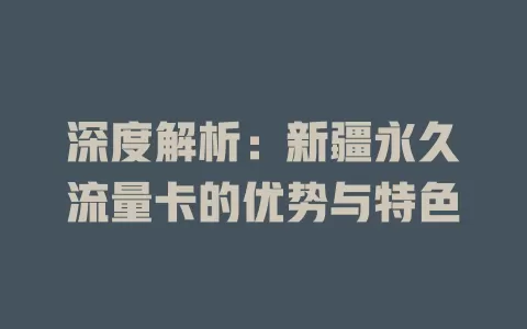 深度解析：新疆永久流量卡的优势与特色
