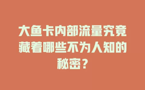大鱼卡内部流量究竟藏着哪些不为人知的秘密？