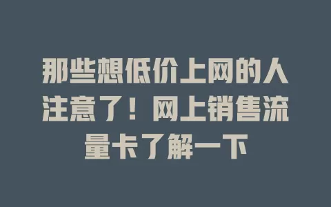 那些想低价上网的人注意了！网上销售流量卡了解一下