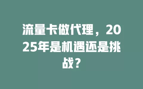 流量卡做代理，2025年是机遇还是挑战？
