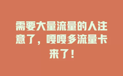 需要大量流量的人注意了，嘎嘎多流量卡来了！