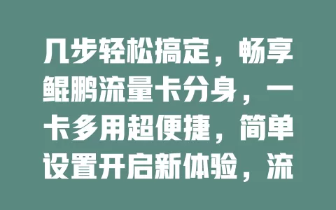 几步轻松搞定，畅享鲲鹏流量卡分身，一卡多用超便捷，简单设置开启新体验，流量自由分配，多设备切换超畅快