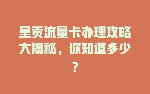 呈贡流量卡办理攻略大揭秘，你知道多少？