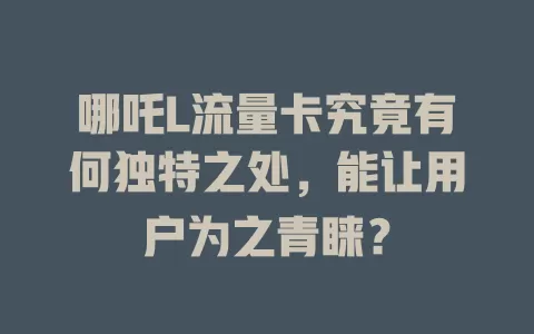 哪吒L流量卡究竟有何独特之处，能让用户为之青睐？