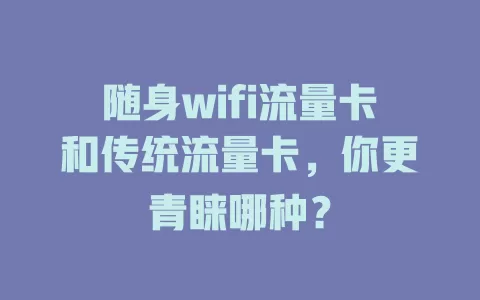 随身wifi流量卡和传统流量卡，你更青睐哪种？