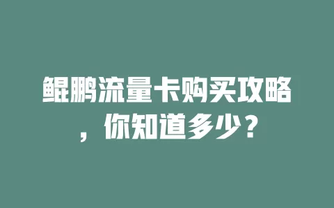 鲲鹏流量卡购买攻略，你知道多少？