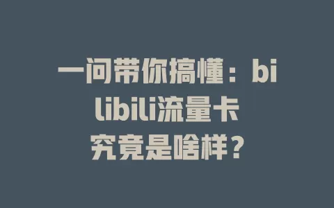 一问带你搞懂：bilibili流量卡究竟是啥样？