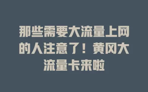 那些需要大流量上网的人注意了！黄冈大流量卡来啦