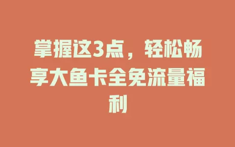 掌握这3点，轻松畅享大鱼卡全免流量福利