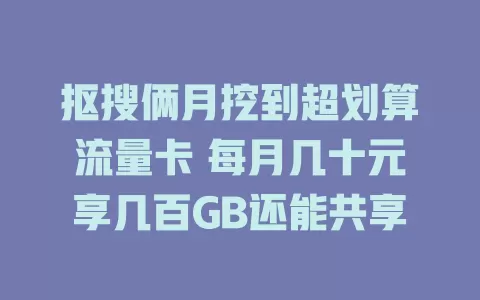 抠搜俩月挖到超划算流量卡 每月几十元享几百GB还能共享