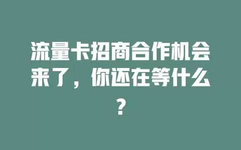 流量卡招商合作机会来了，你还在等什么？