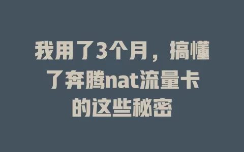 我用了3个月，搞懂了奔腾nat流量卡的这些秘密