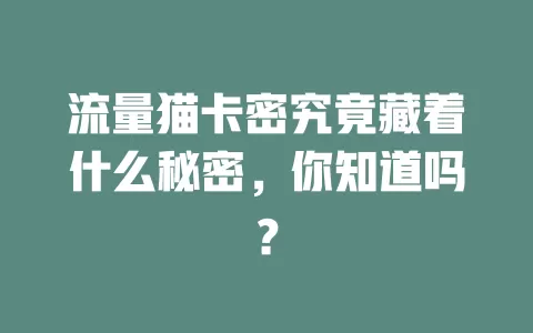 流量猫卡密究竟藏着什么秘密，你知道吗？