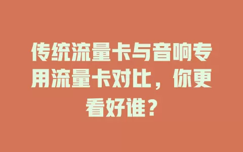 传统流量卡与音响专用流量卡对比，你更看好谁？