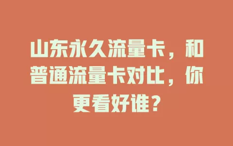 山东永久流量卡，和普通流量卡对比，你更看好谁？