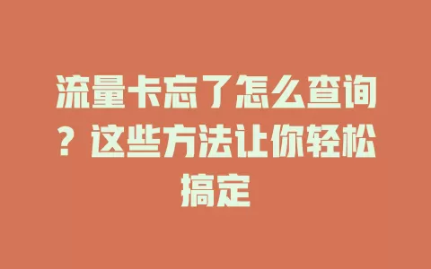 流量卡忘了怎么查询？这些方法让你轻松搞定