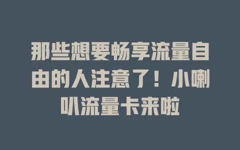 那些想要畅享流量自由的人注意了！小喇叭流量卡来啦