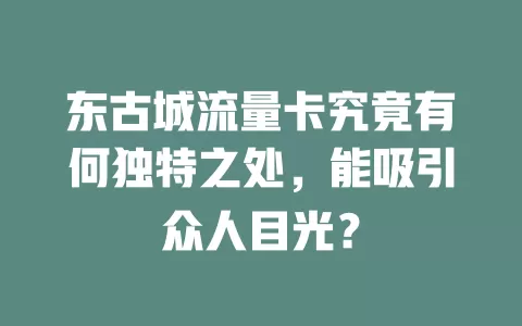 东古城流量卡究竟有何独特之处，能吸引众人目光？