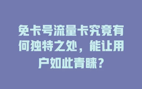 免卡号流量卡究竟有何独特之处，能让用户如此青睐？
