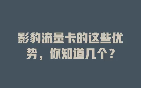 影豹流量卡的这些优势，你知道几个？